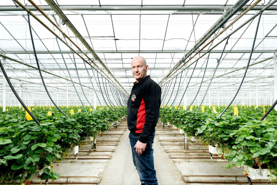 Liof BrookBerries HT8_5730.jpg